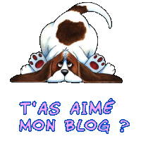 alors lache tes com's et ton blog et ton email et ton nom