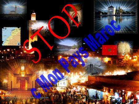love morocco